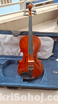 Violin